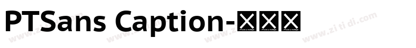 PTSans Caption字体转换
